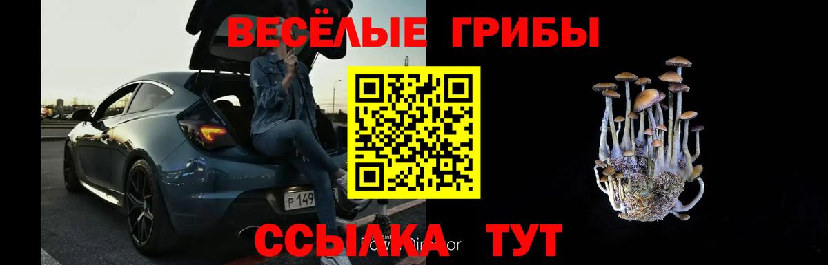 Галлюциногенные грибы GOLDEN TEACHER Кизилюрт