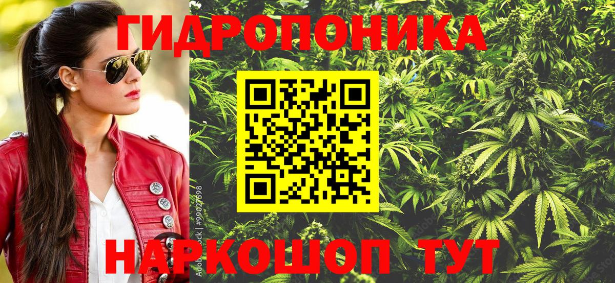 Каннабис конопля  Канабис гибрид  Кизилюрт  Конопля SATIVA & INDICA  Шишки марихуана планчик  Вход с VPN 